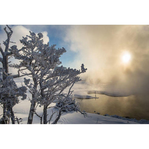 Winter Sunrise, Mammoth Hot Springs, Yellowstone National Park Black Modern Wood Framed Art Print with Double Matting by The Yellowstone Collection