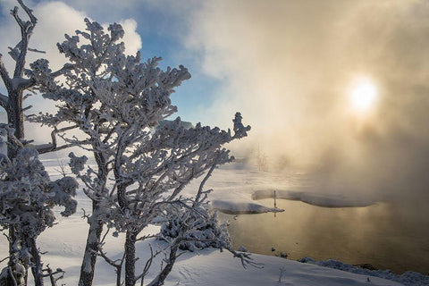 Winter Sunrise, Mammoth Hot Springs, Yellowstone National Park Black Ornate Wood Framed Art Print with Double Matting by The Yellowstone Collection