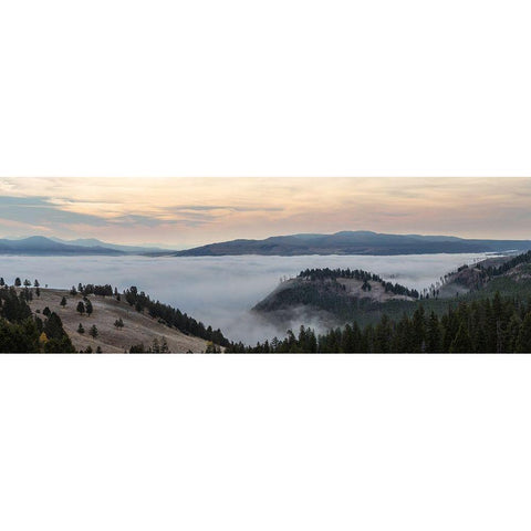 Yellowstone River Valley, Yellowstone National Park Black Modern Wood Framed Art Print with Double Matting by The Yellowstone Collection