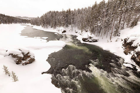 Yellowstone River from the Canyon Bridge, Yellowstone National Park White Modern Wood Framed Art Print with Double Matting by Frank, Jacob W.