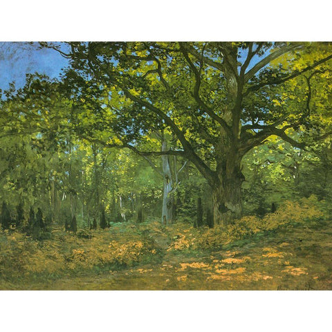 Bodmer Oak at Bas-Breau 1865 White Modern Wood Framed Art Print by Monet, Claude