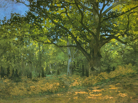 Bodmer Oak at Bas-Breau 1865 Black Ornate Wood Framed Art Print with Double Matting by Monet, Claude