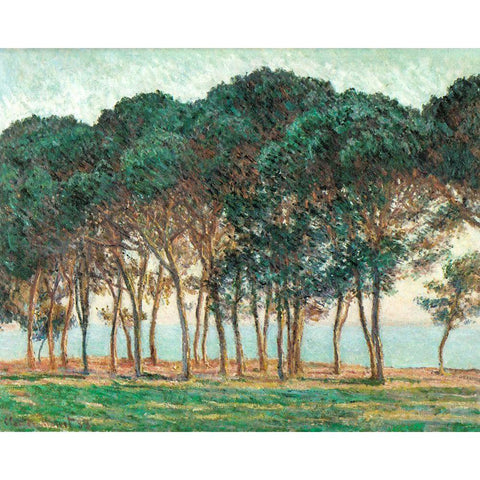 Umbrella Pines-Antibes 1888 White Modern Wood Framed Art Print by Monet, Claude