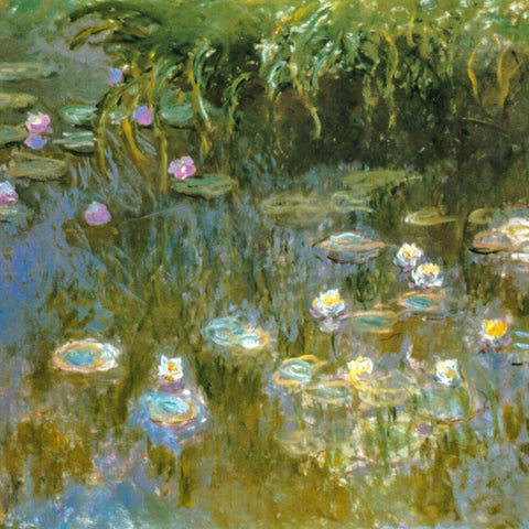 Water-lilies 1888 White Modern Wood Framed Art Print with Double Matting by Monet, Claude