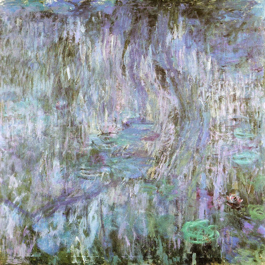 Image Only
