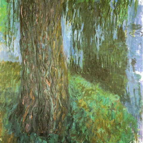 Willow Tree and Pond 1916 White Modern Wood Framed Art Print by Monet, Claude