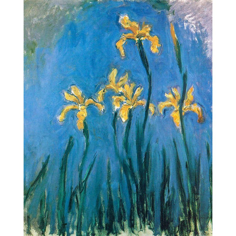 Yellow Irises 1924 White Modern Wood Framed Art Print by Monet, Claude