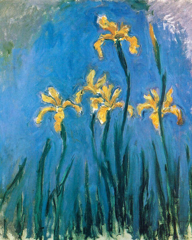 Yellow Irises 1924 White Modern Wood Framed Art Print with Double Matting by Monet, Claude