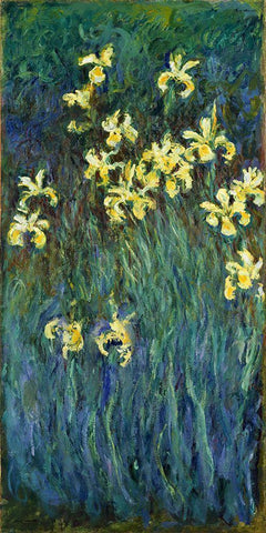 Yellow Irises 1914 White Modern Wood Framed Art Print with Double Matting by Monet, Claude