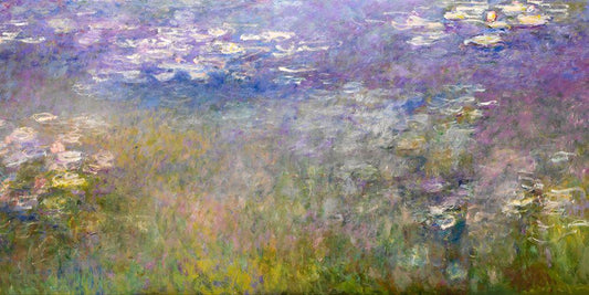 Image Only