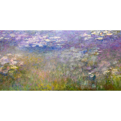 Water Lilies Agapanthus 1915 White Modern Wood Framed Art Print by Monet, Claude