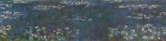 Image Only