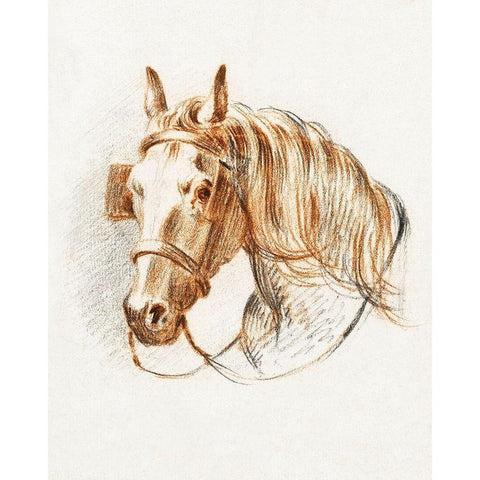 Head of a Horse IV  Gold Ornate Wood Framed Art Print with Double Matting by Bernard, Jean