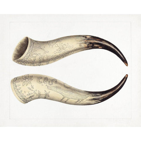 Powder Horn 1938 Black Modern Wood Framed Art Print with Double Matting by Johnston, Annie B.