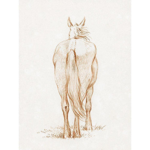 Standing Horse 1815 Black Modern Wood Framed Art Print with Double Matting by Bernard, Jean