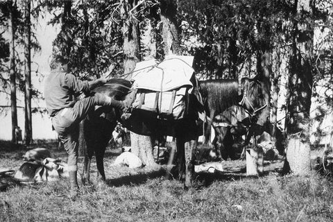 Mule Packing White Modern Wood Framed Art Print with Double Matting by Vintage Photography