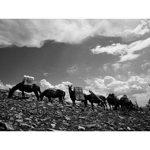 Sheepeater Mountain Fire Look Out Black Modern Wood Framed Art Print with Double Matting by Vintage Photography