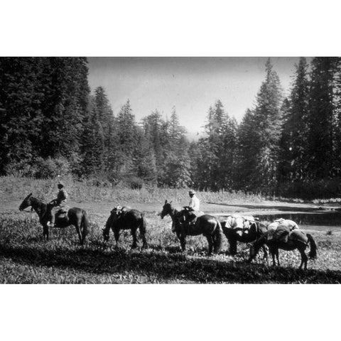 Small Meadow Gold Ornate Wood Framed Art Print with Double Matting by Vintage Photography