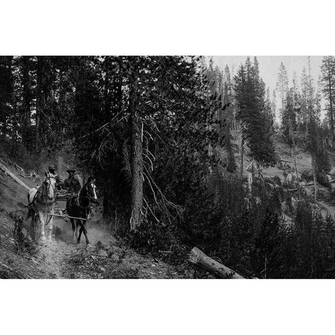 Wagon on Trail from Diamond Lake Gold Ornate Wood Framed Art Print with Double Matting by Vintage Photography