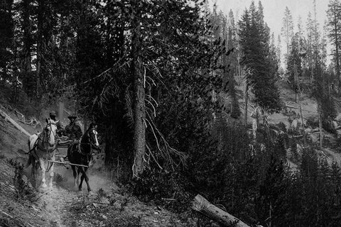 Wagon on Trail from Diamond Lake Black Ornate Wood Framed Art Print with Double Matting by Vintage Photography