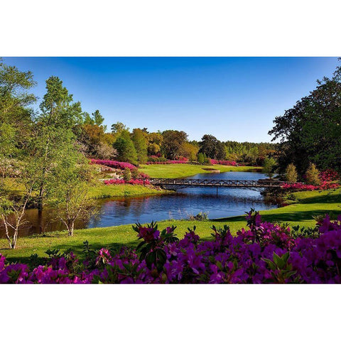 Bellingrath Gardens Alabama I Black Modern Wood Framed Art Print with Double Matting by Alabama Picture Archive