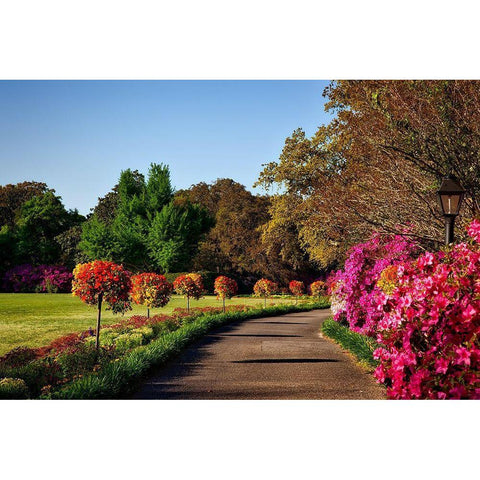 Bellingrath Gardens Alabama II Gold Ornate Wood Framed Art Print with Double Matting by Alabama Picture Archive
