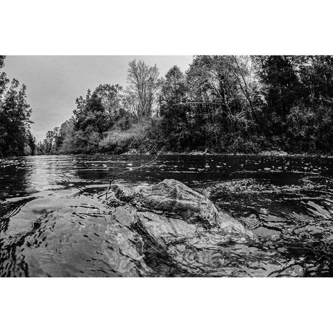 Big Escambia Creek in the Poarch Band of Creek Indians Gold Ornate Wood Framed Art Print with Double Matting by Alabama Picture Archive