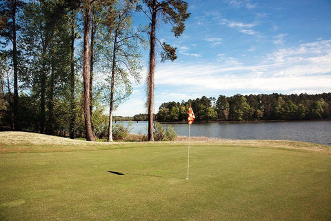 Grand National Golf Course I White Modern Wood Framed Art Print with Double Matting by Highsmith, Carol