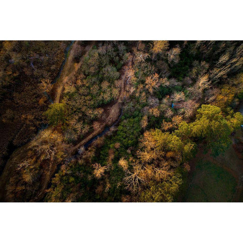 Guntersville Alabama Gold Ornate Wood Framed Art Print with Double Matting by Alabama Picture Archive