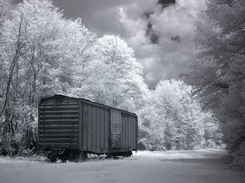 Old Train Car Alabama Black Ornate Wood Framed Art Print with Double Matting by Alabama Picture Archive