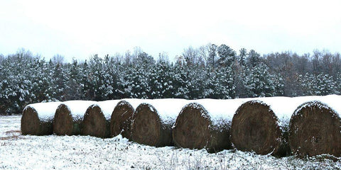 Snow-Covered Hay Rolls-Alabama White Modern Wood Framed Art Print with Double Matting by Alabama Picture Archive