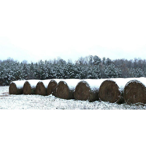 Snow-Covered Hay Rolls-Alabama Gold Ornate Wood Framed Art Print with Double Matting by Alabama Picture Archive