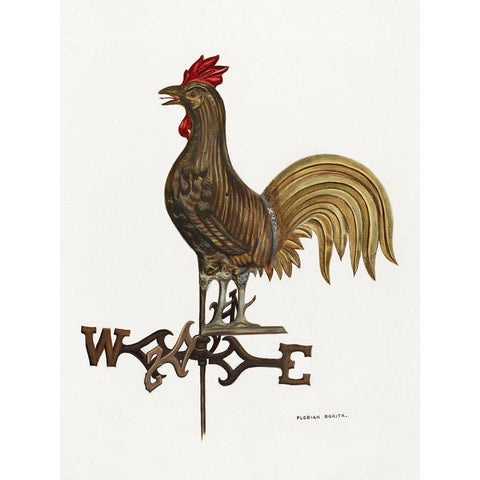 Weathercock White Modern Wood Framed Art Print by Rokita, Florian