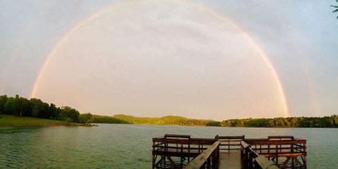 Nolin River Lake-Bee Spring-Kentucky Black Ornate Wood Framed Art Print with Double Matting by Robertson, Danielle