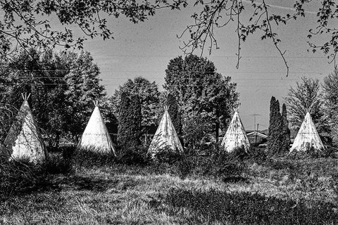 Wigwam Village-Horse Cave-Kentucky Black Ornate Wood Framed Art Print with Double Matting by Margolies, John