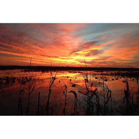 March Sunrise in Missouri Black Modern Wood Framed Art Print by Helmers, Doug