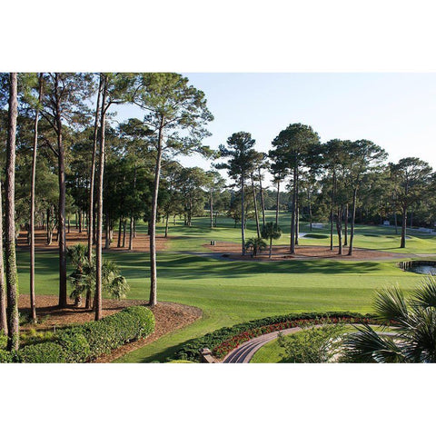 Charleston National Golf Club-South Carolina Gold Ornate Wood Framed Art Print with Double Matting by South Carolina Picture Archive