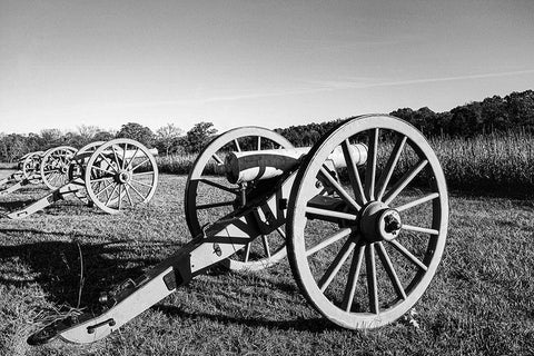 Cannons at Shiloh National Military Park Tennessee Black Ornate Wood Framed Art Print with Double Matting by Tennessee Picture Archive