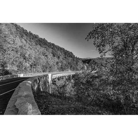 Foothills Parkway Tennessee during Autumn I Black Modern Wood Framed Art Print with Double Matting by Tennessee Picture Archive