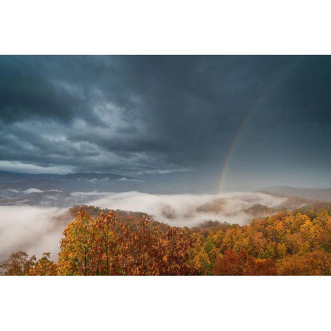 Foothills Parkway Tennessee During Autumn III White Modern Wood Framed Art Print by Tennessee Picture Archive