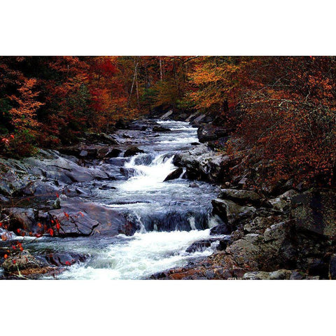 Tennessee Great Smoky Mountains National Park Black Modern Wood Framed Art Print with Double Matting by Tennessee Picture Archive