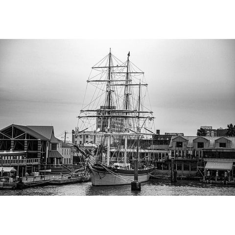 Galveston Texas Black Modern Wood Framed Art Print by Texas Picture Archive