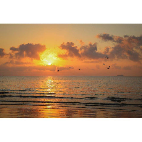 Gulf Coast Sunset White Modern Wood Framed Art Print by Texas Picture Archive