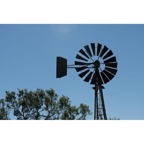 Old Windmill near Batesville-Texas Black Modern Wood Framed Art Print by Cheung, Lance
