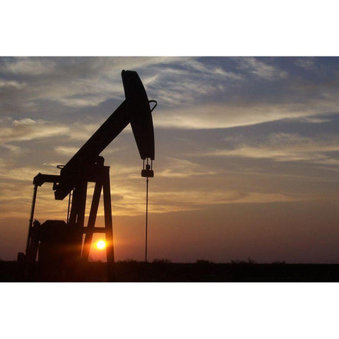 Texas Grasshopper at Sunset Gold Ornate Wood Framed Art Print with Double Matting by Texas Picture Archive