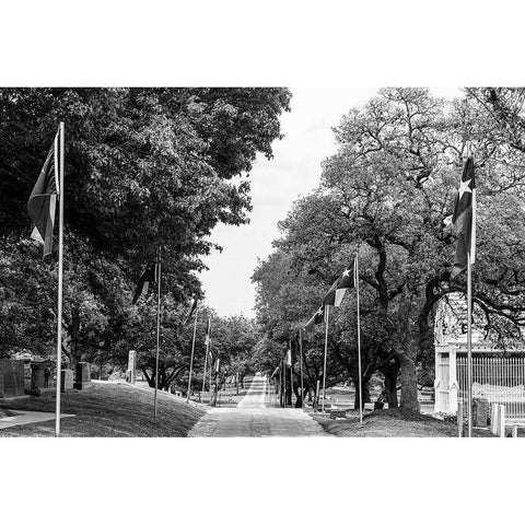 Texas State Flags line a path through the Texas State Cemetery in Austin White Modern Wood Framed Art Print by Highsmith, Carol