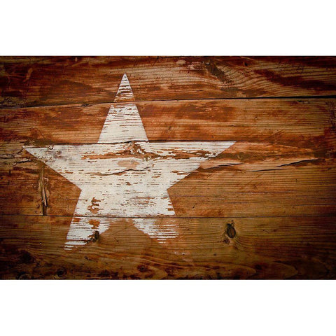 Texas White Star White Modern Wood Framed Art Print by Texas Picture Archive