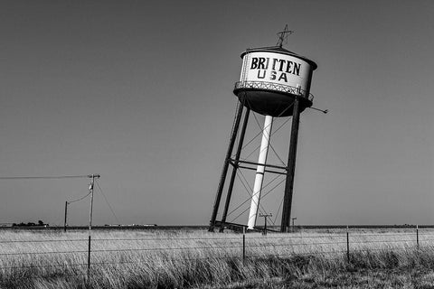 Tilted Water Tower in Texas Black Ornate Wood Framed Art Print with Double Matting by Highsmith, Carol