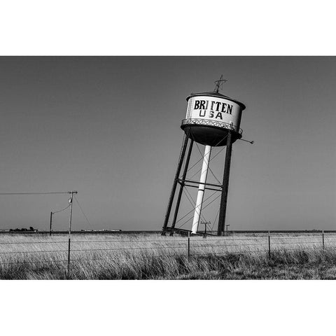 Tilted Water Tower in Texas Gold Ornate Wood Framed Art Print with Double Matting by Highsmith, Carol