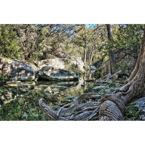 Twisted Texas Gold Ornate Wood Framed Art Print with Double Matting by Texas Picture Archive